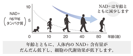 1691719732770862.png 图片1.png